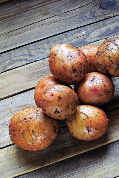 칠판에 젊은 감자 — 스톡 사진