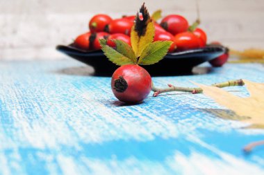 Olgun kalça güller 