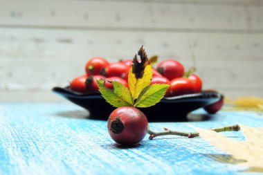 Olgun kalça güller 