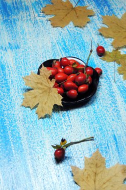 Olgun kalça güller 