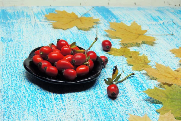 Olgun kalça güller 