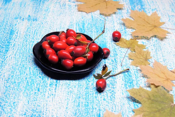 Olgun kalça güller 