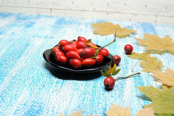 Olgun kalça güller 