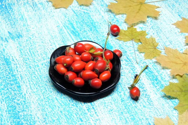 Olgun kalça güller 