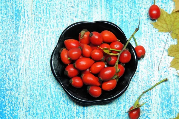 Olgun kalça güller 