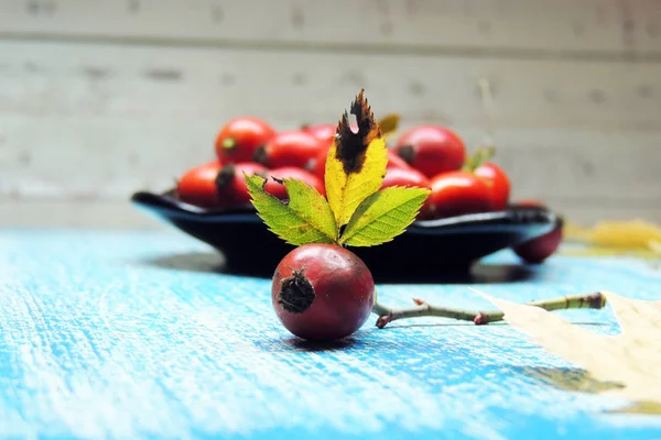 Olgun kalça güller 