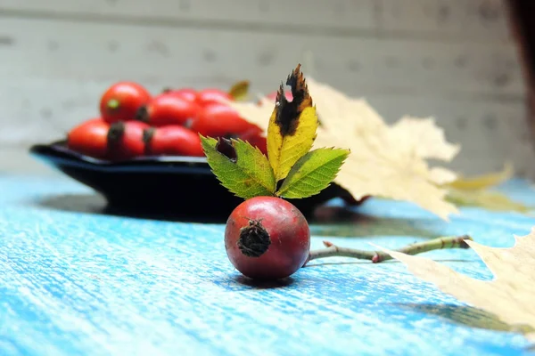 Olgun kalça güller 