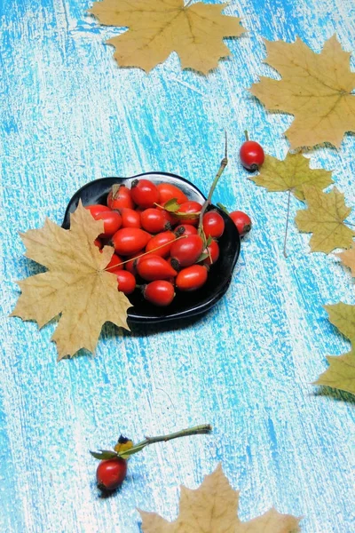 Olgun kalça güller 