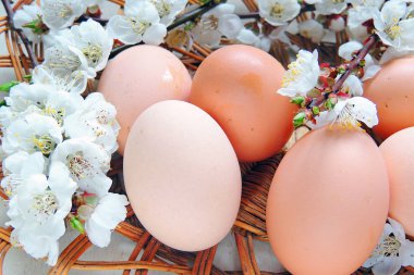 Paskalya yumurtaları ve kiraz dallar