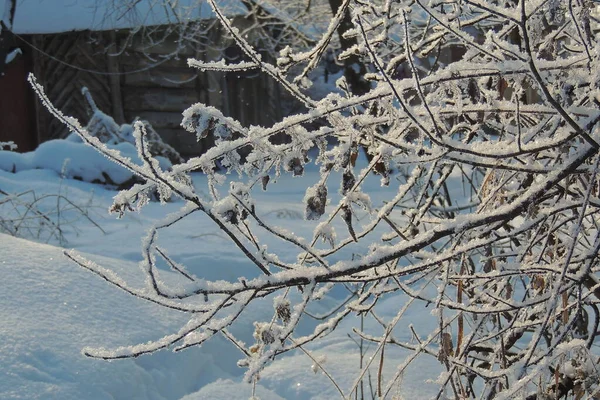 Schneereicher Winter. Schnee. Frost — Stockfoto