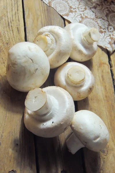 Champignon-Pilze aus nächster Nähe — Stockfoto