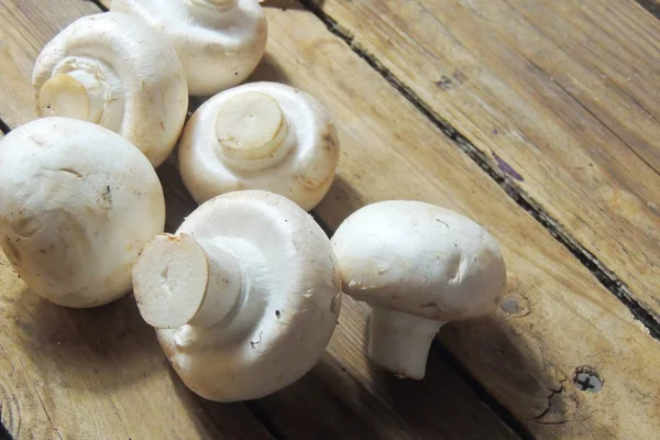 Champignon mushrooms close up — Stok fotoğraf