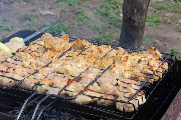 Kazıkta Izgara Sosis Yemek Teması — Stok fotoğraf