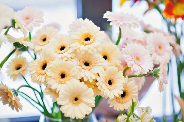 Çiçekçide bir buket yumuşak turuncu papatya.