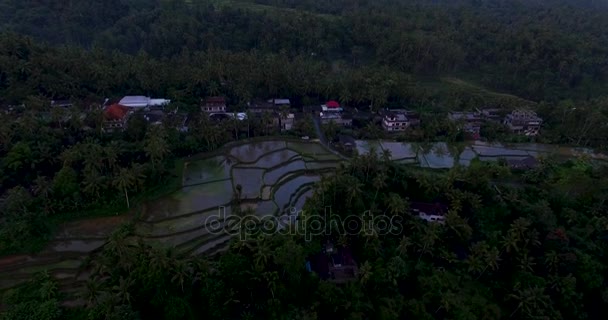 巴厘岛乌布附近的日落米台上的空中影像 — 图库视频影像