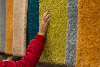 Woman spends shopping and selects plush carpets by hand in the store clipart