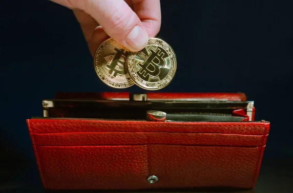 İnsan eli kırmızı uzun cüzdan iki sikke bitcoin altın renkte koymak