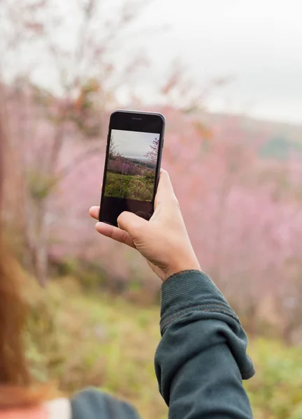 Tourist hold phone mobile taking photo — Stock Photo, Image