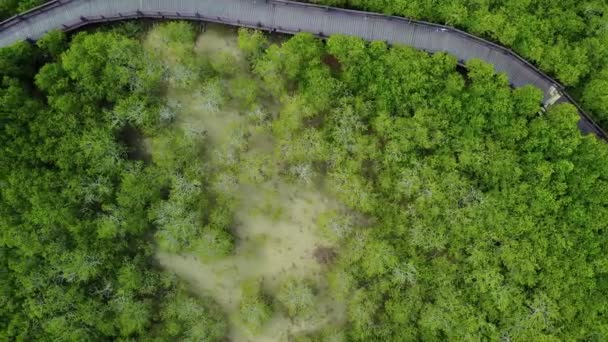 4k Αεροφωτογραφία του μαγγρόβιο δάσος στον εθνικό πάρκο Πραν Μπουρί, Επαρχία Πράτσουατ Κίρι Χαν, Ταϊλάνδη — Αρχείο Βίντεο