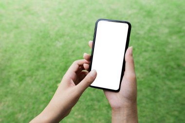 Akıllı telefon beyaz ekranı kullanan kadınların eli