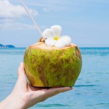 Koh Samui 'de gökyüzü geçmişi olan deniz tatil beldesinde taze hindistan cevizi.