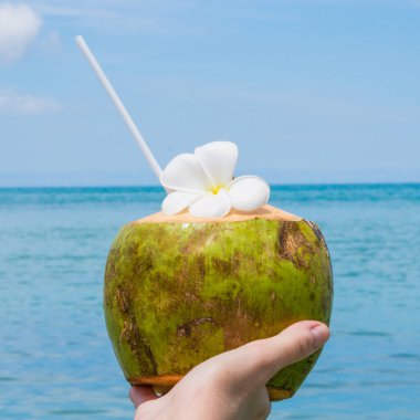 Koh Samui 'de gökyüzü geçmişi olan deniz tatil beldesinde taze hindistan cevizi.