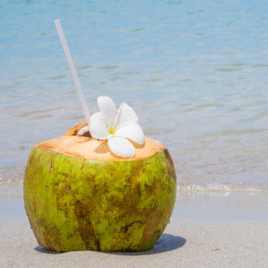 Koh Samui 'de gökyüzü geçmişi olan deniz tatil beldesinde taze hindistan cevizi.
