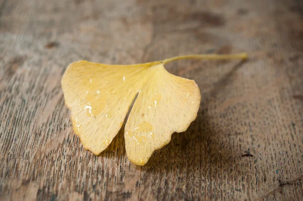 Ginkgo biloba leaf na drewniane tła — Zdjęcie stockowe