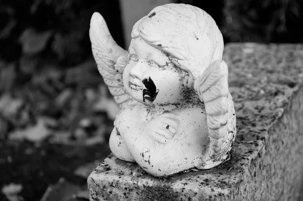 Weißer Engel auf Friedhof — Stockfoto