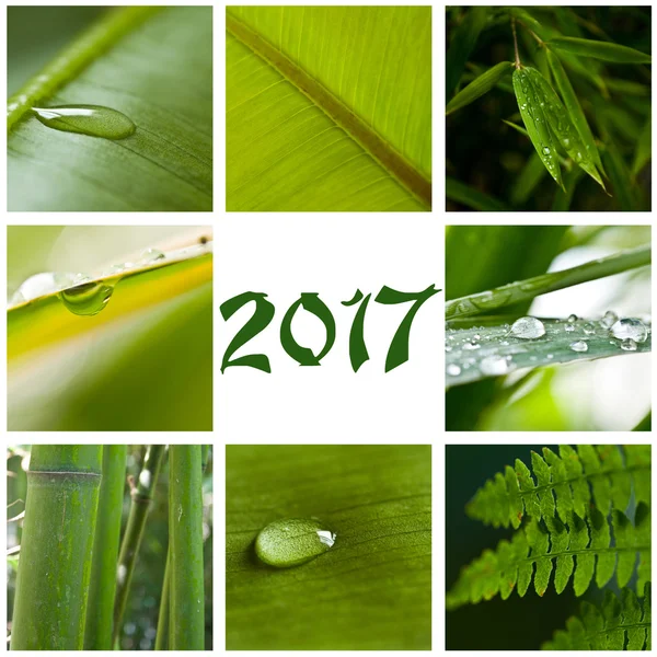Naturaleza zen collage tarjeta 2017 —  Fotos de Stock