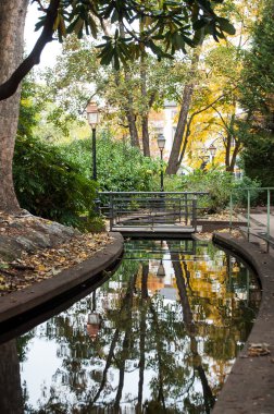 sonbaharda Alsatian kentsel park 