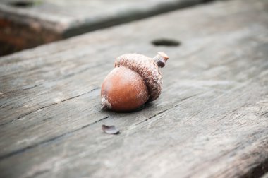 ahşap arka plan üzerinde meşe palamudu 