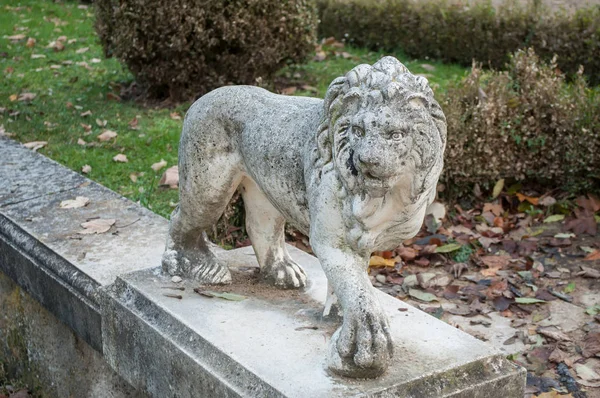 Mulhouse France November 2016 Statue Lion Wallach French Park Mulhous — Stock Photo, Image