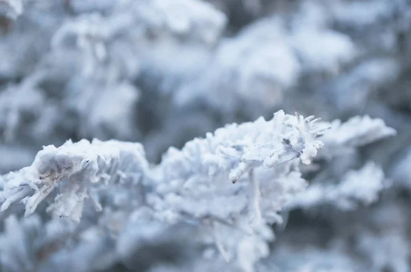 Neige artificielle sur un arbre de Noël — Photo