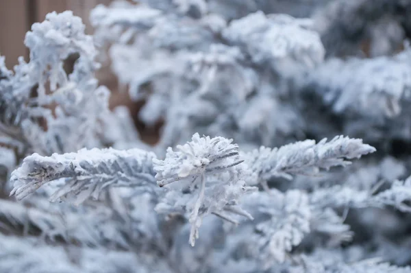 Neve artificial em uma árvore de Natal — Fotografia de Stock