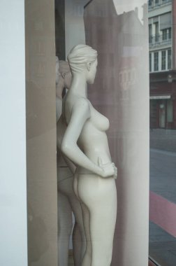 Moda bir vitrin mankeni kadında depolamak kadınlar için