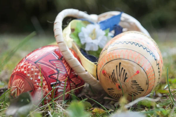 Dekoratif Paskalya yumurta çim açık — Stok fotoğraf