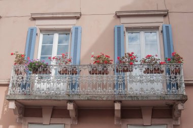  Kırmızı sardunyalar balkon