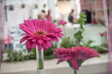 Ev dekorasyonunda bir vazoda papatyaların yakın çekimi.