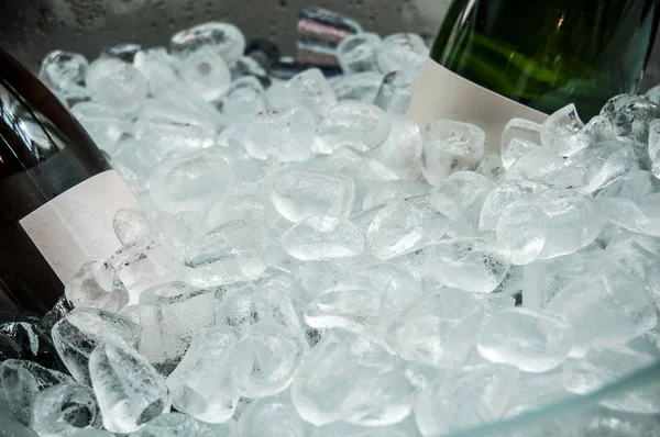 Closeup Ice Cubes Champagne Bucket — 스톡 사진