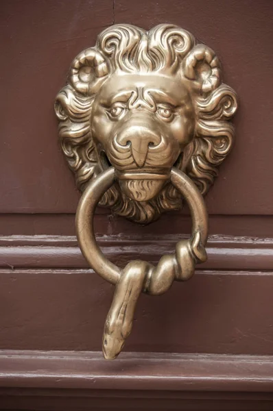 Metalik aslan ahşap kapı üzerindeki kolu şeklinde — Stok fotoğraf