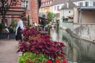 çiçek sınır kanal Colmar