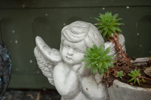 Omamný angel hřbitově — Stock fotografie