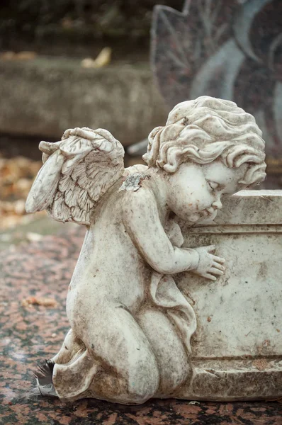 Omamný angel hřbitově — Stock fotografie