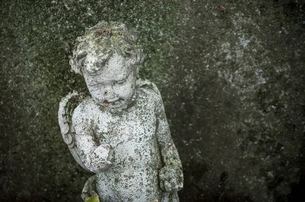 Stoned angel in cemetery — Stock Photo, Image