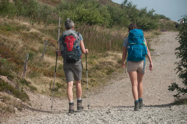 Couple of trekkers walking at the top with backpack — Stock Photo, Image