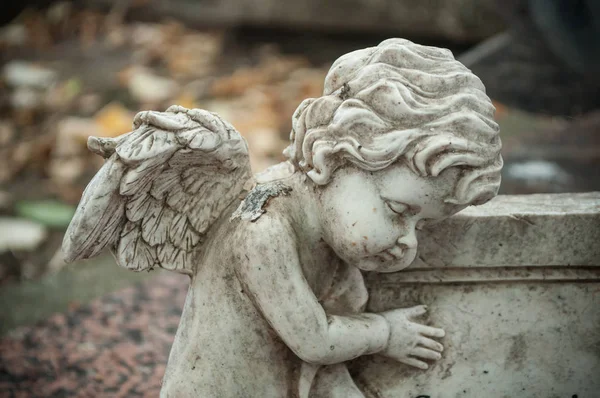 Opilá socha anděla na hřbitově — Stock fotografie