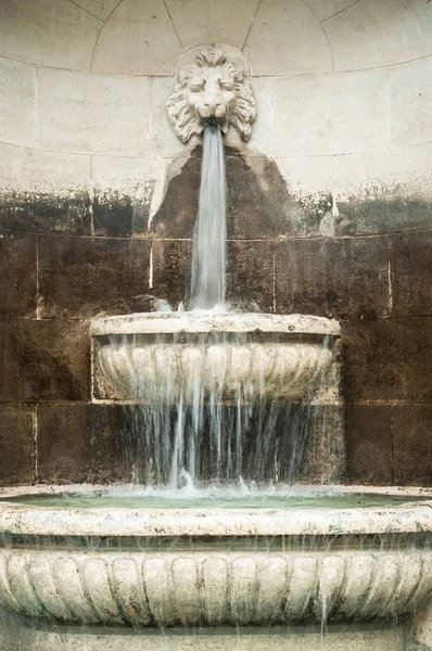 Stoned fountain with water flowing from the mouth of — Stock Photo, Image