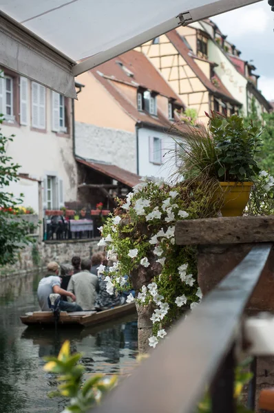 Nahaufnahme von Blumen im Grenzkanal in Colmar mit Bootsfahrt im Hintergrund — Stockfoto