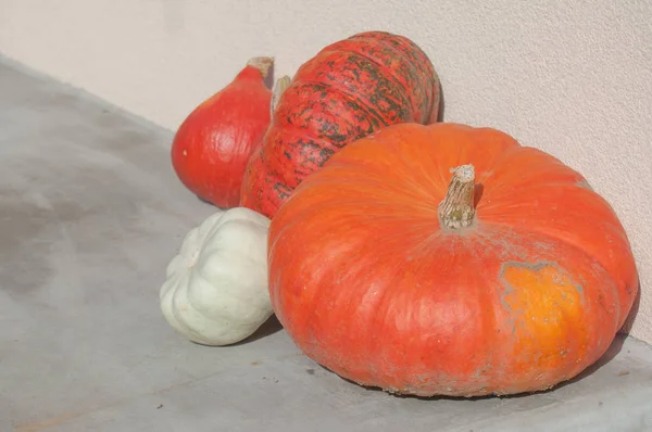 Group of pumpkins in decoration house — Stock Photo, Image